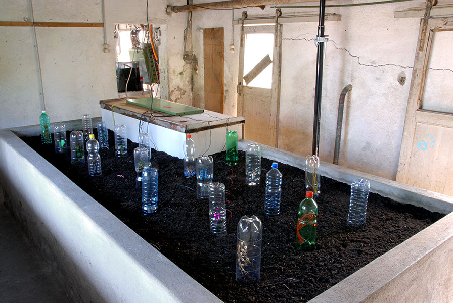 <strong>«OCMOS-Stecklinge»</strong> installation view